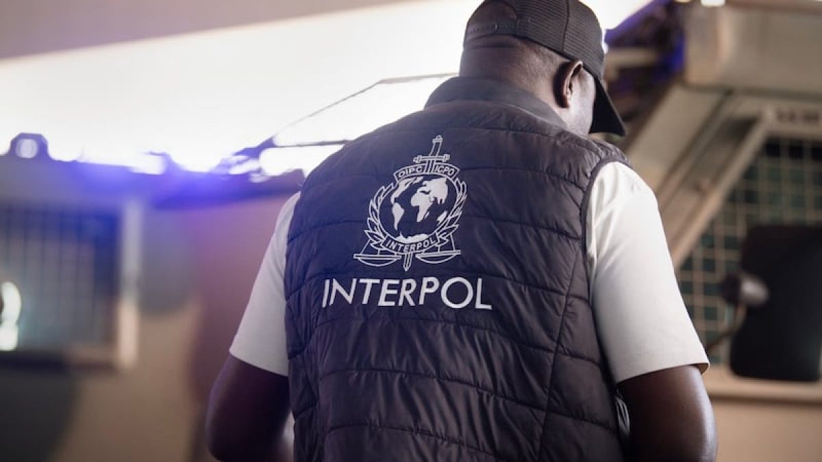 OPERATIVO INTERNACIONAL CONTRA EL ABUSO SEXUAL INFANTIL DEJA 95 DETENIDOS; PARAGUAY PARTICIPÓ