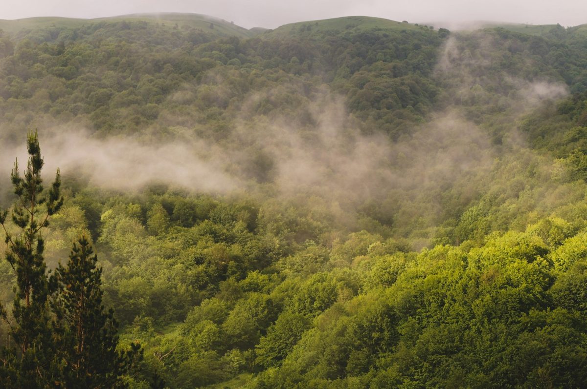 COMIENZA EN ARMENIA LA COP17 CON LA META DE PROTEGER EL 30 % DEL PLANETA PARA 2030